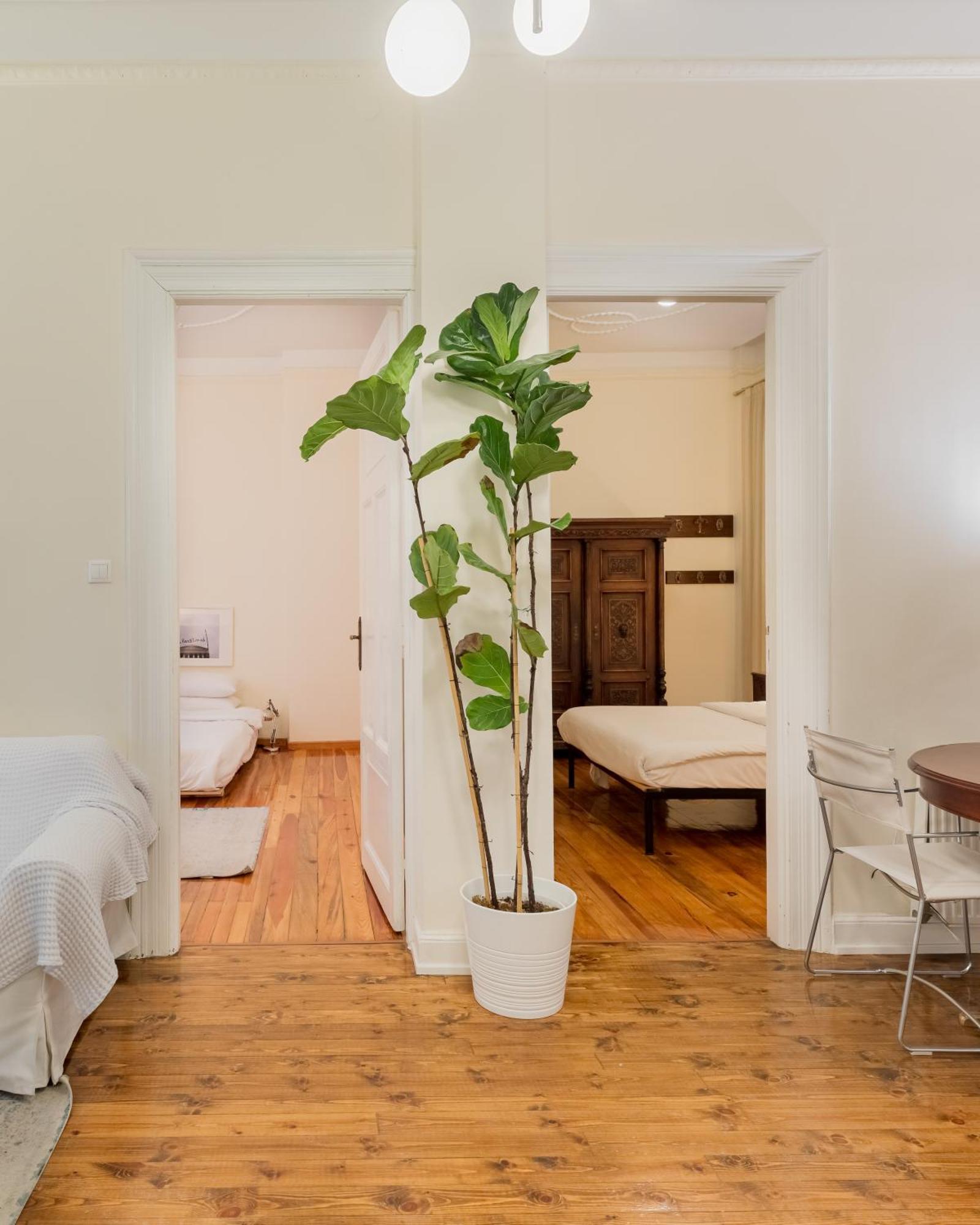 #Magnolia Apt By Halu! Apartments 塞萨洛尼基 外观 照片